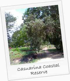 Casuarina Coastal Reserve